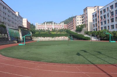 重庆市涪陵信息技术学校与重庆信息技术咨询服务 一座技能人才的摇篮与一片广阔的应用天地